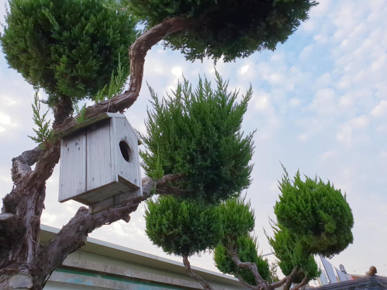 Hanok Raon Γκιονγκγού Εξωτερικό φωτογραφία